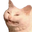 CatOK