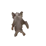 405_catdance
