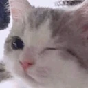 wink