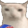CatEat