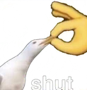 shut