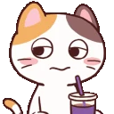72_Catcafe_drink