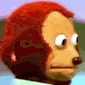 awkward_monkey_look