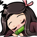 ndsnezukosleep
