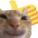 ThumbsUpCat