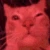 cat_disco