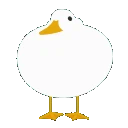 sillyguy