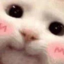 j_
