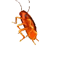 rh_yagsatarimbalsatarim