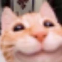 HappyCat