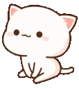 gatofofo