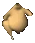 Pollo