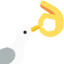 shutseagull