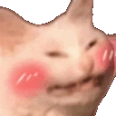 cat_blush_intense