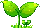 AMplant