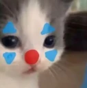 m_cat5
