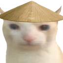 cat_rice_asian