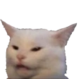 owoConfusedCat