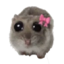 peeepawwww