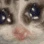 sukoon_cat_cry