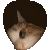 kittypeak