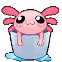 axolotl