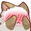 catshy