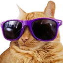 CoolCat
