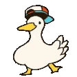 duckPls