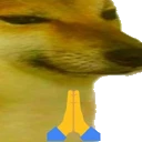 NR3_dorime