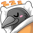 CrowSleep