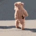 Baby_Bear