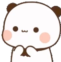 echat_kittyNo