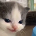trouble