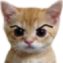 mern