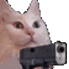 catgun