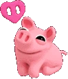 pigkiss
