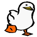 IM_duck_going