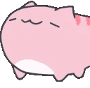 echat_CatNod