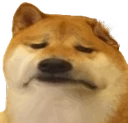 SadDoggo
