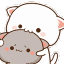 AMcatnom