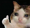 sadthumb