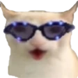 CatChest