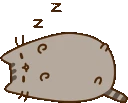 PusheenSleeping