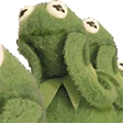 InfiniteKermit