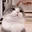 s_catpoke