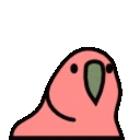 DanceBird