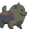 dancedoge