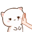 peachcat42