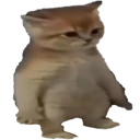 catstand1